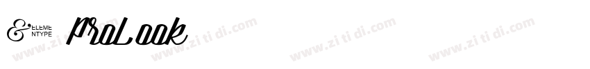 1 ProLook字体转换